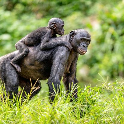 Galerie Photos de la République Démocratique du Congo