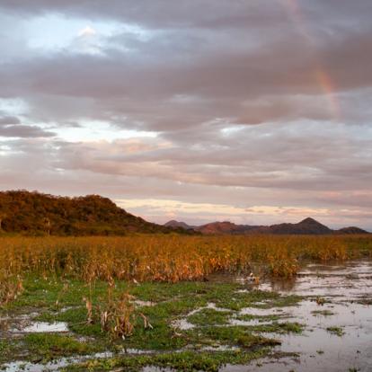 Album Photos - Costa Rica