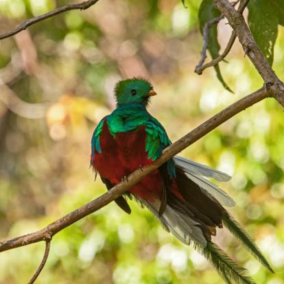 Album Photos - Costa Rica