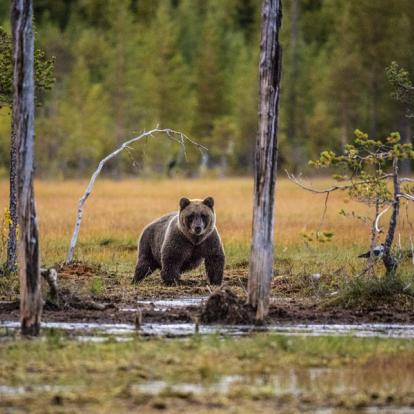 Album Phoitos - Finlande