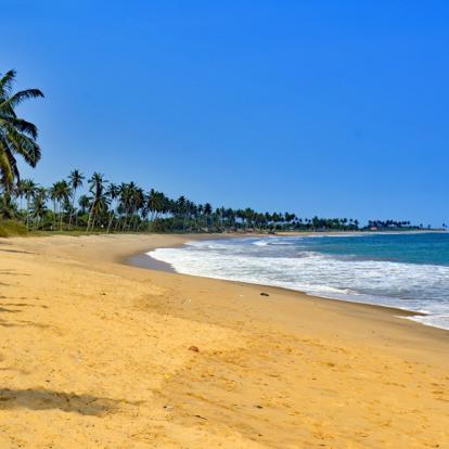 Album Photos - Ghana