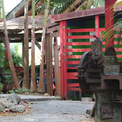 Album Photos - Guadeloupe