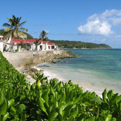 Album Photos - Guadeloupe