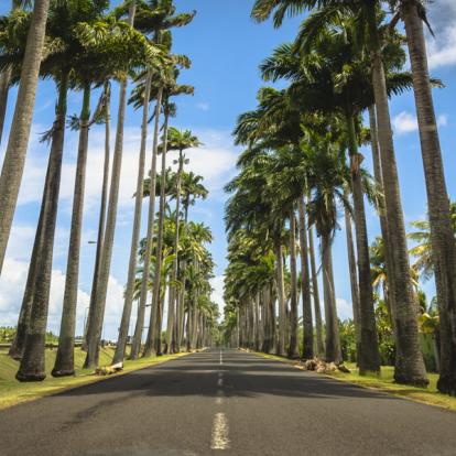 Album Photos - Guadeloupe