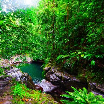 Album Photos - Guadeloupe