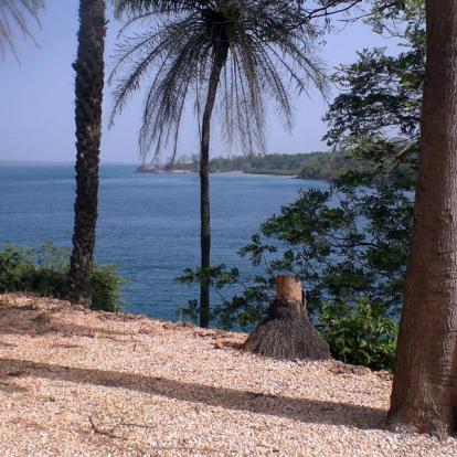 Album Photos - Guinée-Bissau
