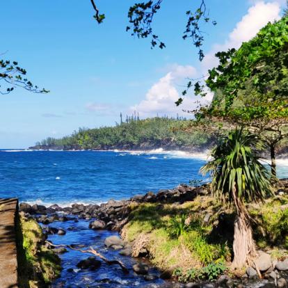 Album Photos - Ile de la Réunion