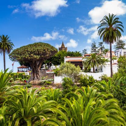 Icod de los Vinos Album Photos - Iles Canaries