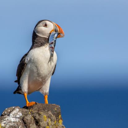 Album Photos - Islande