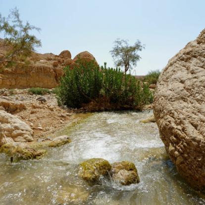 Album Photos de Jordanie