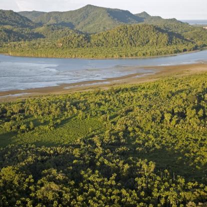 Album Photo - Malaisie/Bornéo