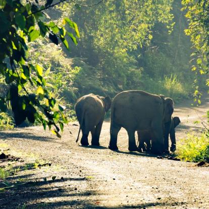 Album Photo - Malaisie/Bornéo