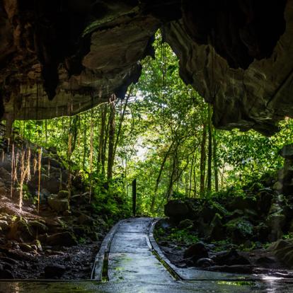 Album Photo - Malaisie/Bornéo