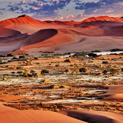 Album Photos - Namibie