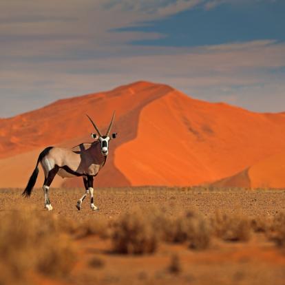 Album Photos - Namibie