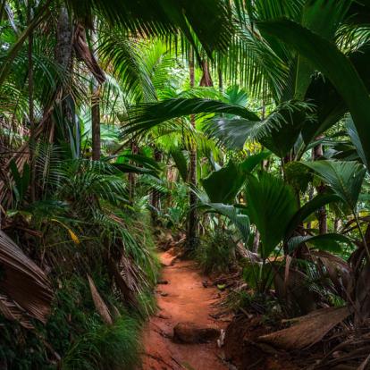 Album Photos - Seychelles