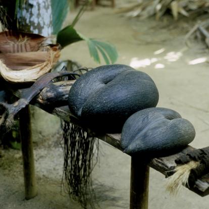 Album Photos - Seychelles