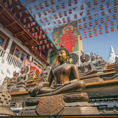 Colombo - Temple Gangaramaya Buddhist Sri Lanka - Album Photos