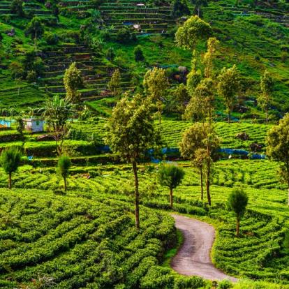 Sri Lanka - Album Photos