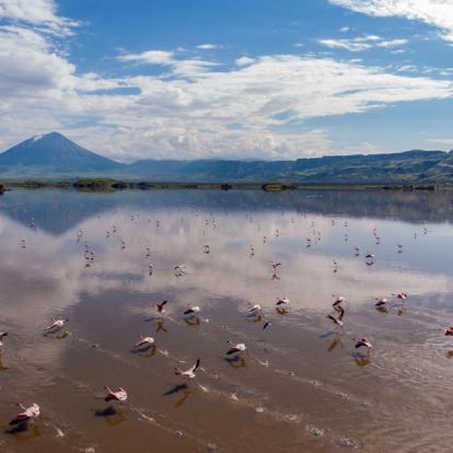 Album Photos - Tanzanie