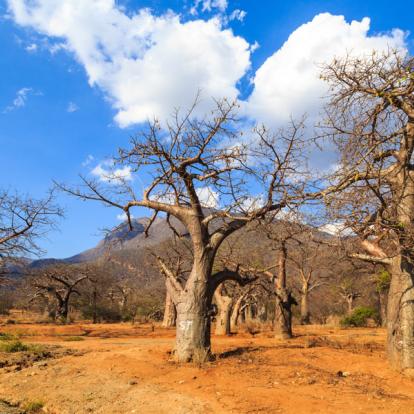 Album Photos - Tanzanie