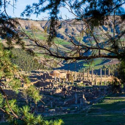 Album Photos d'Algérie
