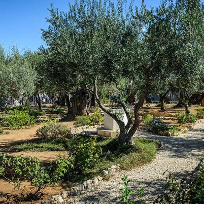 Album Photos d'Israël