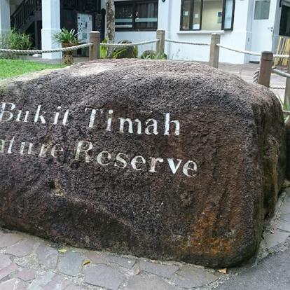 Gallerie Photos - Singapour