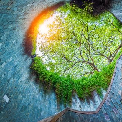 Gallerie Photos - Singapour