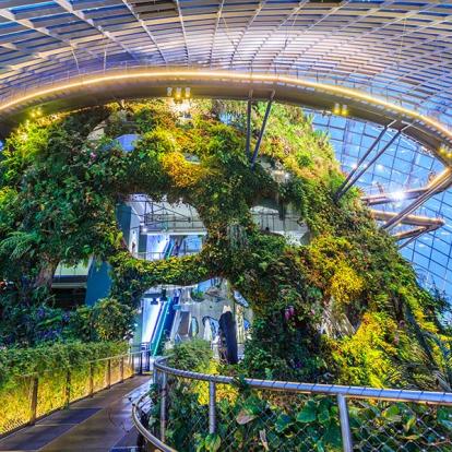 Gallerie Photos - Singapour