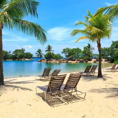 Gallerie Photos - Singapour