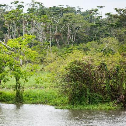 Album Photos du Gabon