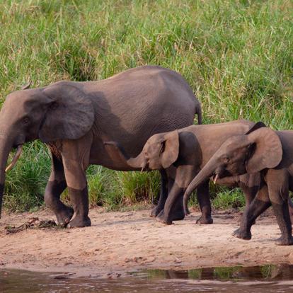 Album Photos du Gabon