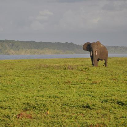 Album Photos du Gabon