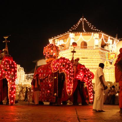 Sri Lanka - Immersion Culturelle