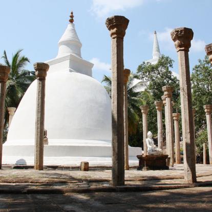 Sri Lanka - Immersion Culturelle