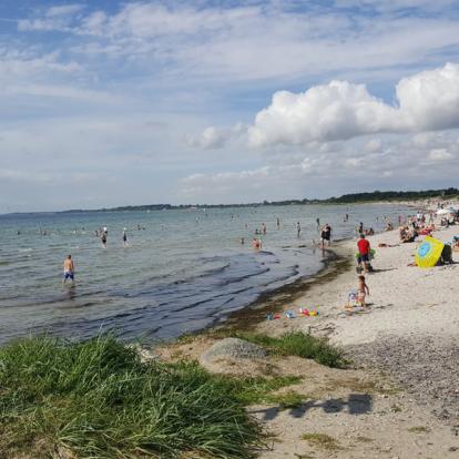 Suède - Malmö: ville verte, historique et futuriste