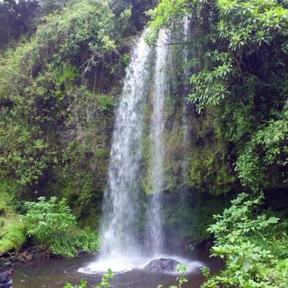 Tanzanie - Rencontre avec les Chaggas sur les flancs du Kilimandjaro