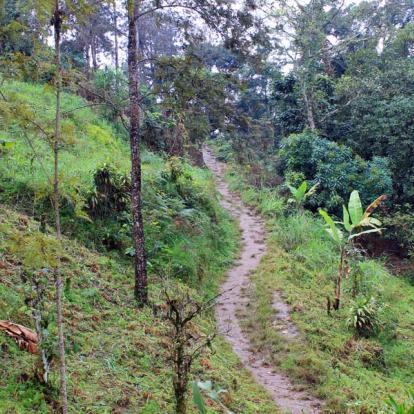 Tanzanie - Rencontre avec les Chaggas sur les flancs du Kilimandjaro
