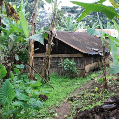 Tanzanie - Rencontre avec les Chaggas sur les flancs du Kilimandjaro
