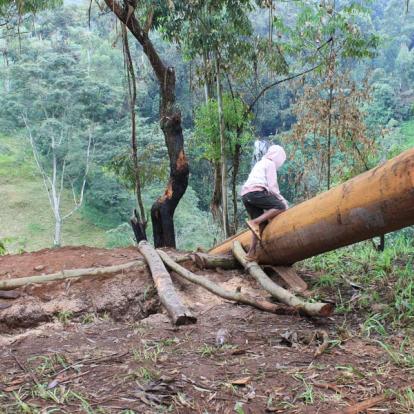 Tanzanie - Rencontre avec les Chaggas sur les flancs du Kilimandjaro