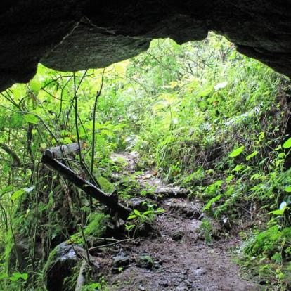 Tanzanie - Rencontre avec les Chaggas sur les flancs du Kilimandjaro
