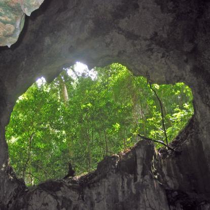 République Dominicaine - Le Parc National Los Haitises