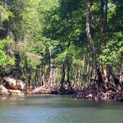 République Dominicaine - Le Parc National Los Haitises
