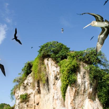République Dominicaine - Le Parc National Los Haitises