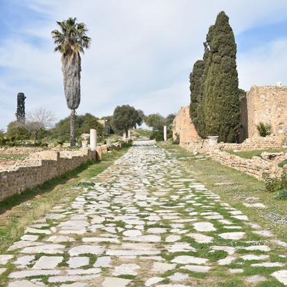 Ancienne route impériale romaine sur le site archéologique de Carthage Tunisie - Les Ruines de Carthage
