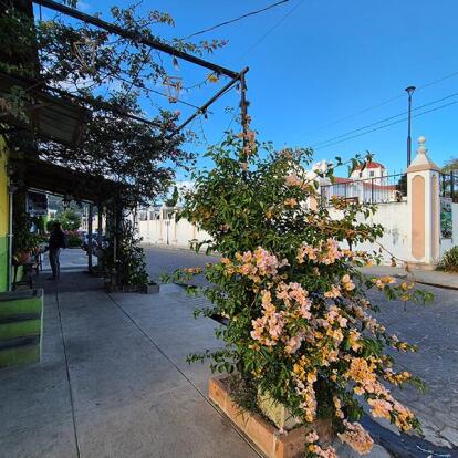 El Salvador - Scènes de vie entre villages, marchés et rencontres