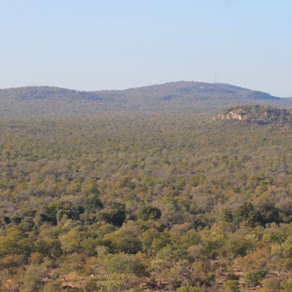 Selati Reserve Afrique du Sud - Selati, la Véritable Wilderness Sud-Africaine