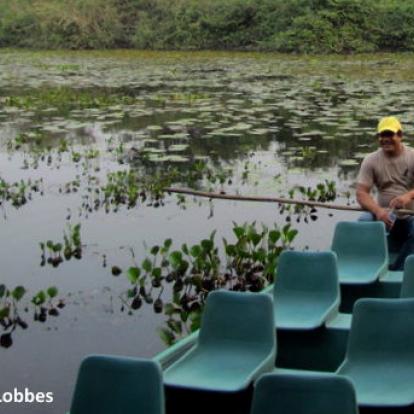 Pantanal Brésil - Le Pantanal, en Jungle Brésilienne