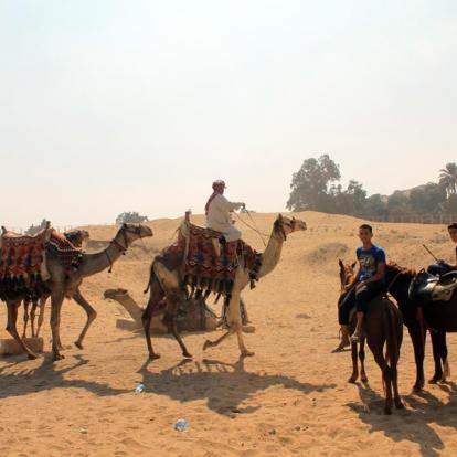 Egypte - es Secrets des Pyramides de Gizeh